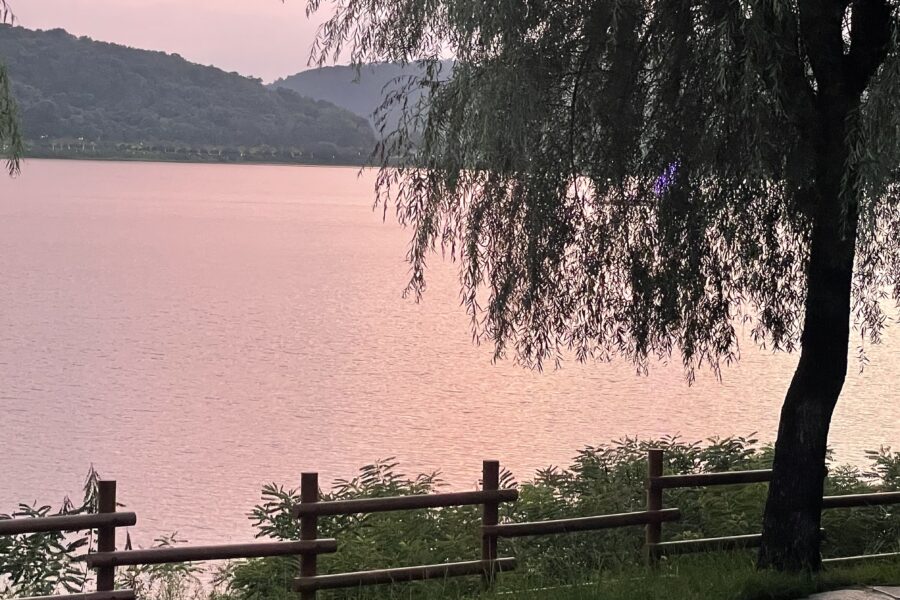 보문호수